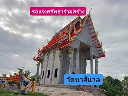 IMG_2919.jpeg